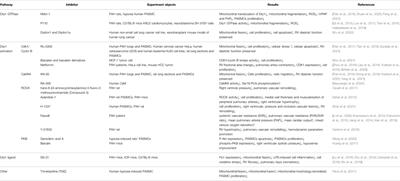 Inhibitors of Mitochondrial Dynamics Mediated by Dynamin-Related Protein 1 in Pulmonary Arterial Hypertension